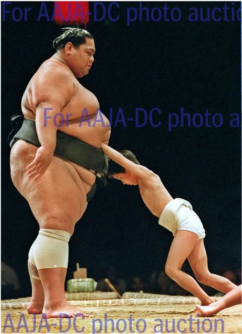 Name:  sumo.jpg
Views: 38
Size:  62.9 KB