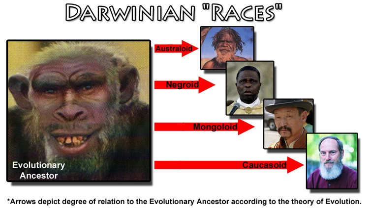 Name:  DarwinianRaces.jpg
Views: 9
Size:  60.9 KB